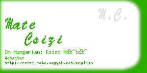 mate csizi business card